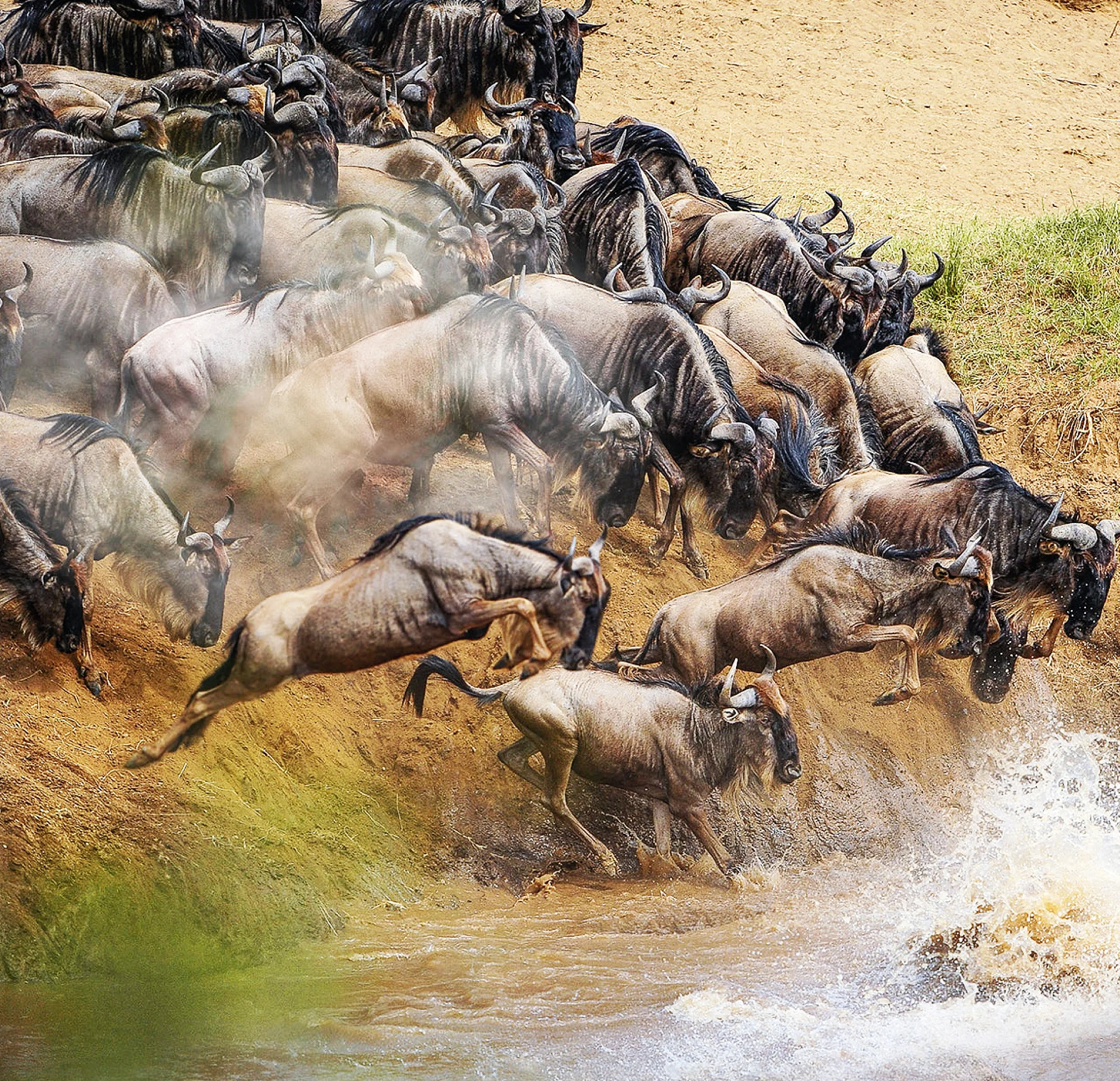 Serengeti National Park